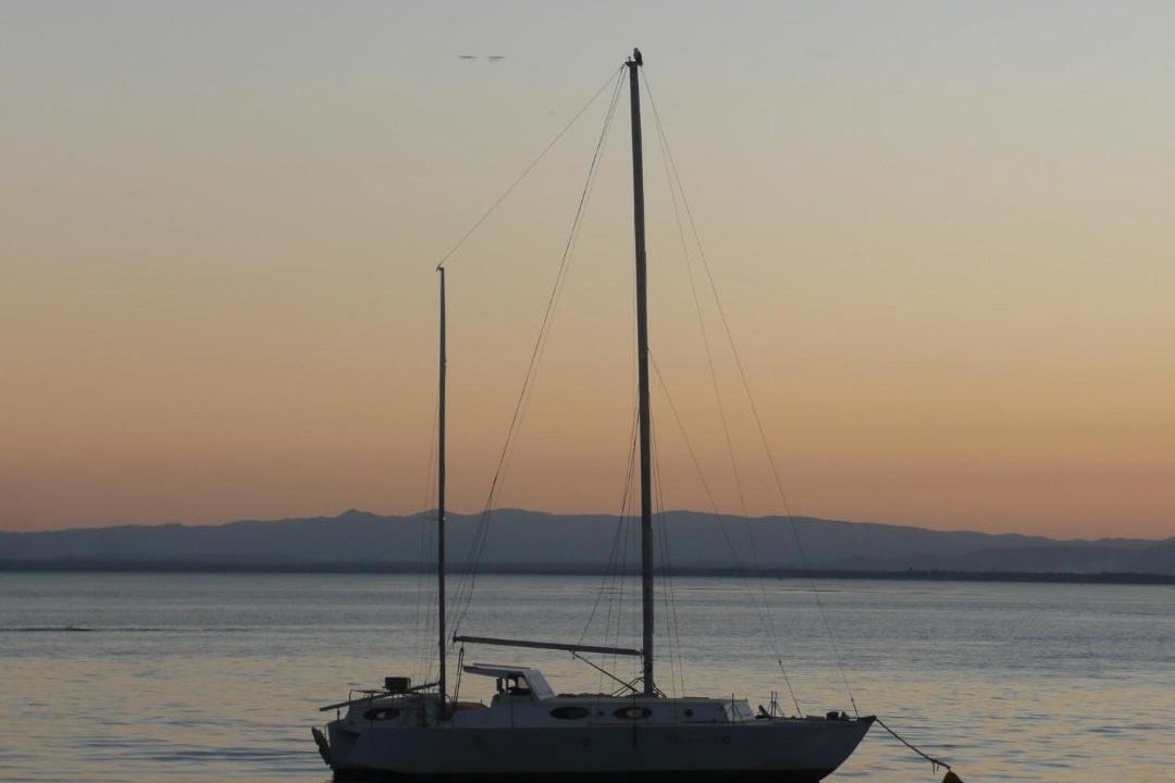 Photo of Others in Bellara