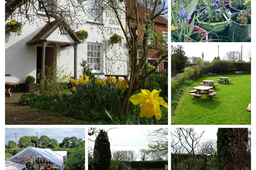 Photo of Others in Penwood