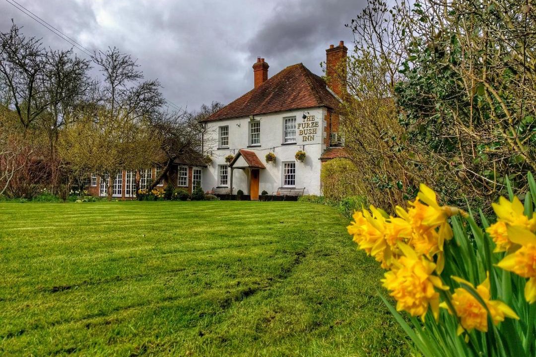 Photo of Buildings in Penwood