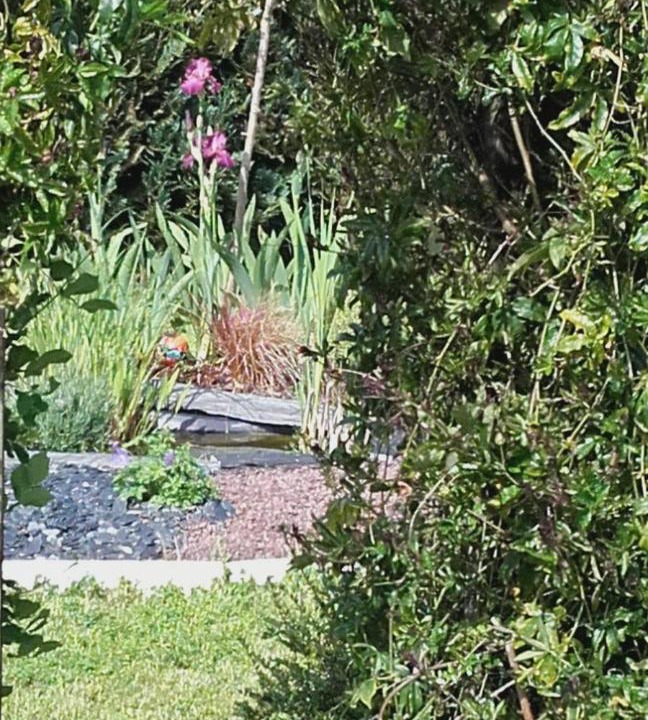 Photo of Others in Fougeres-sur-Bievre