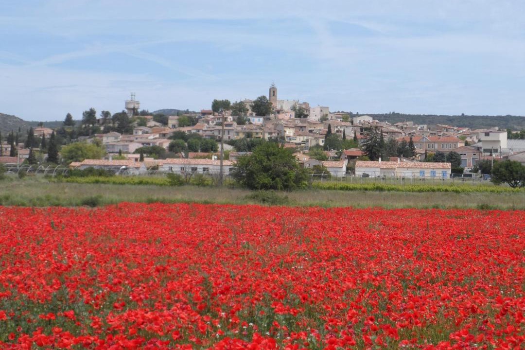 Photo of Others in Pourrieres