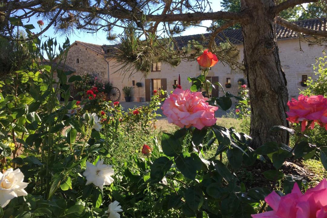 Photo of Others in Sauze-Vaussais