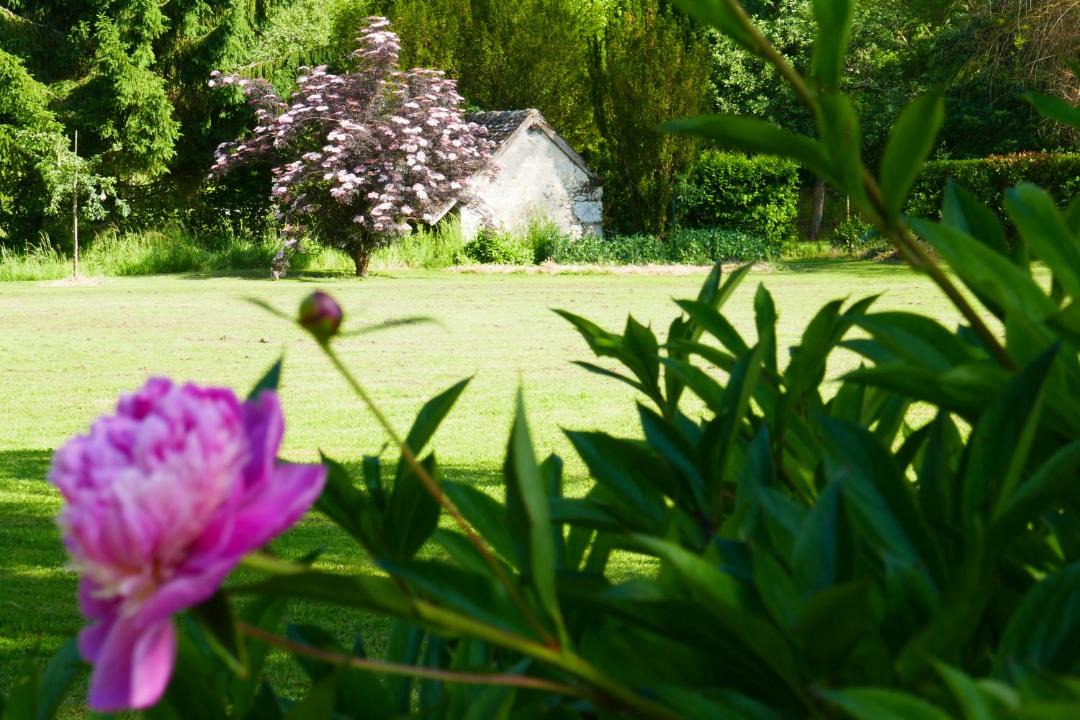 Photo of Others in Adon