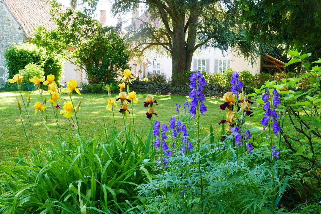 Photo of Others in Adon