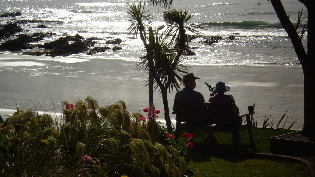 Photo of Others in Kaka Point