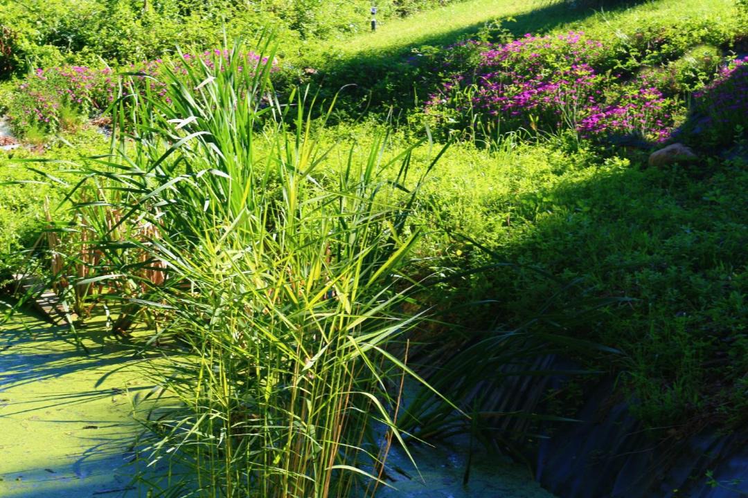 Photo of Others in Laguepie