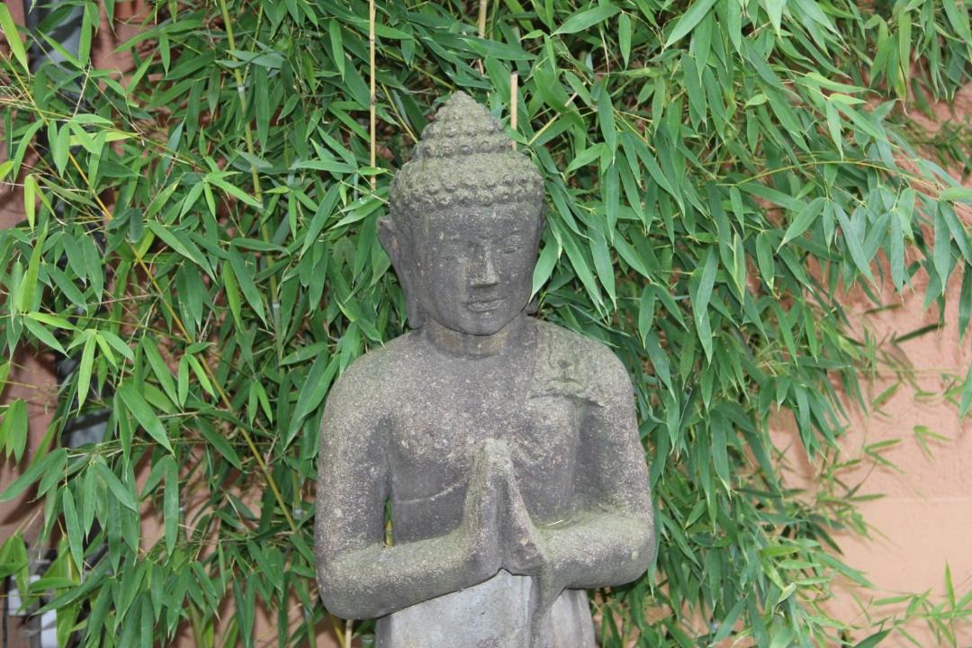 Photo of Others in Laguepie