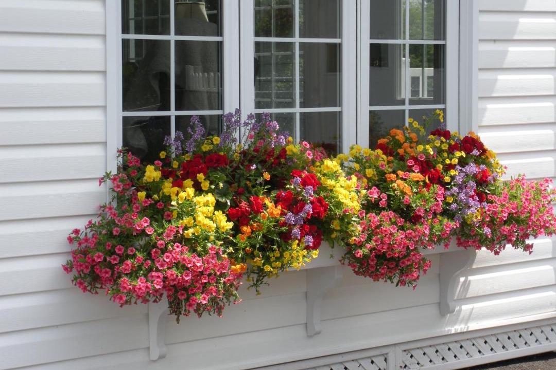 Photo of Others in Grand Falls