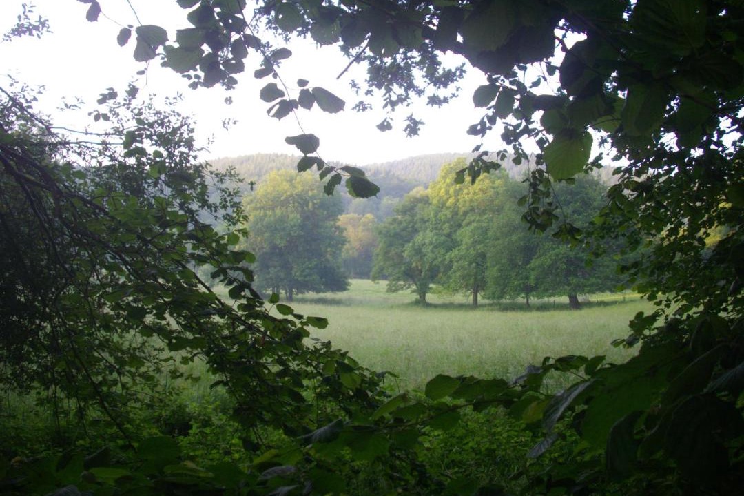 Photo of Others in Alzen