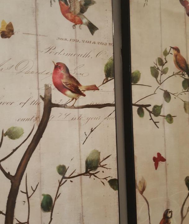 Photo of Others in Evanston Park