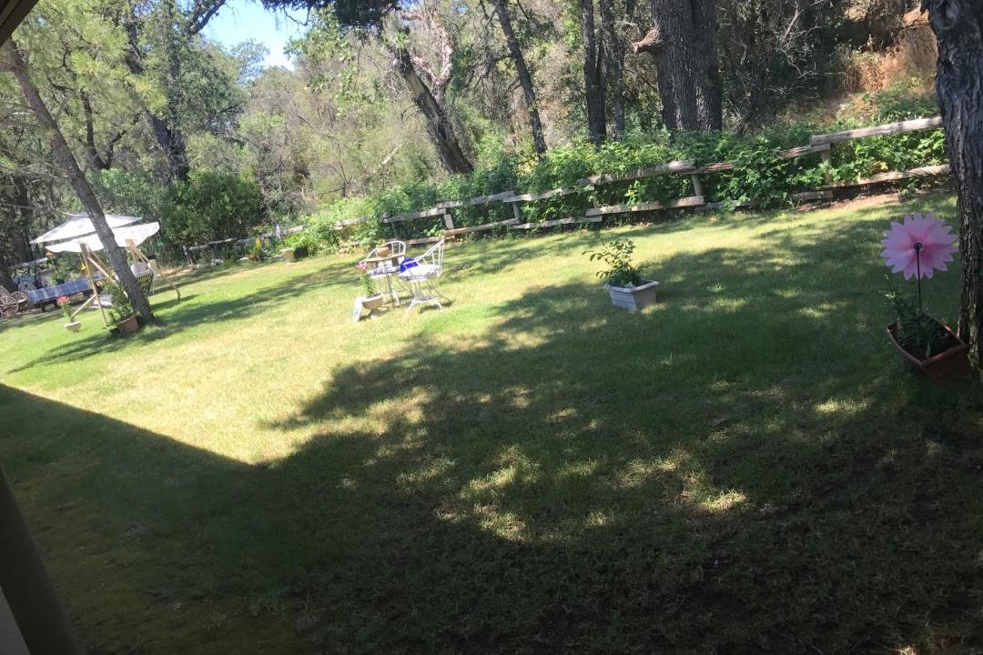 Photo of Others in Kelseyville