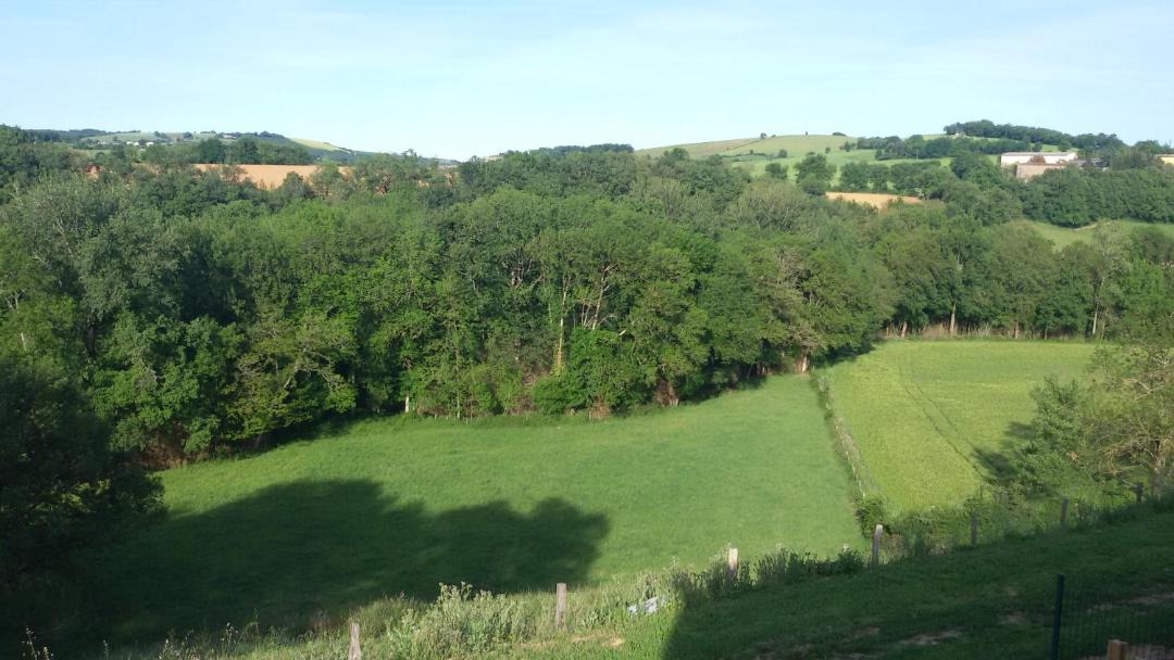 Photo of Others in Montredon-Labessonnie