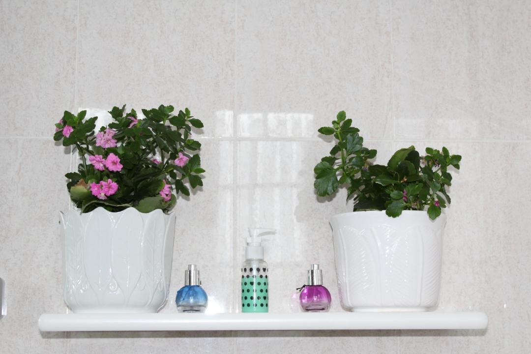 Photo of Bathroom in Baztan