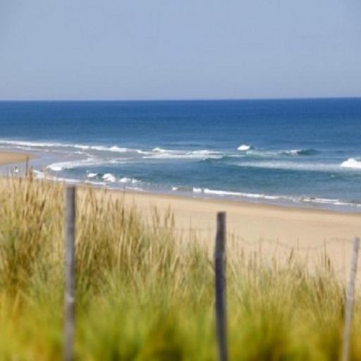 Photo of Others in La Calotterie