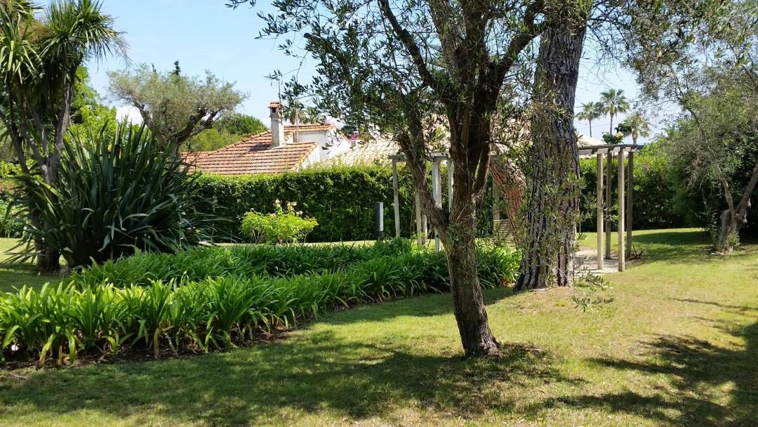 Photo of Others in Cap-d'Antibes