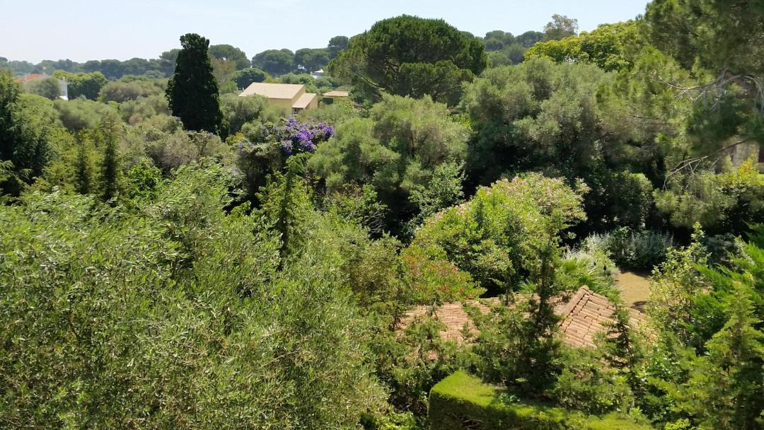 Photo of Others in Cap-d'Antibes