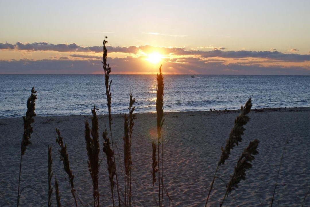 Photo of Others in Parrot Cove