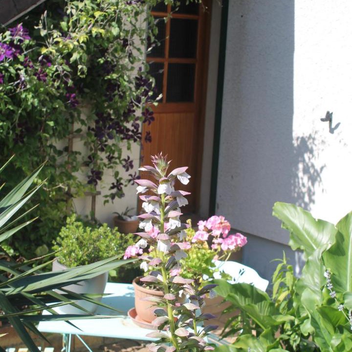 Photo of Others in Nogent-le-Rotrou