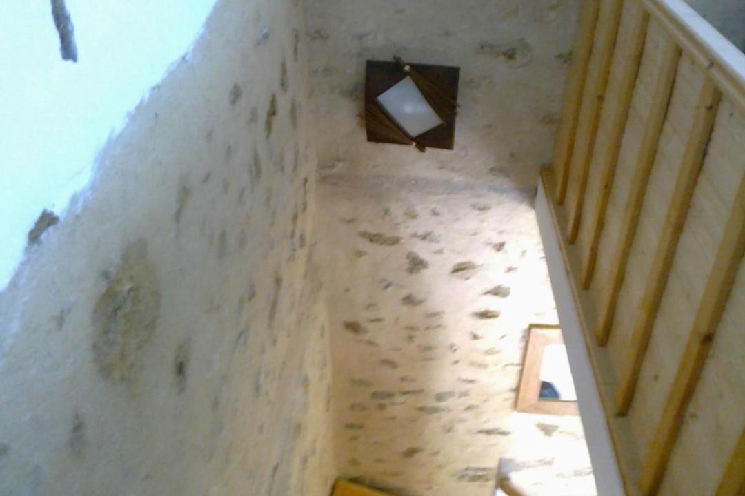 Photo of Others in Petit Moisenay