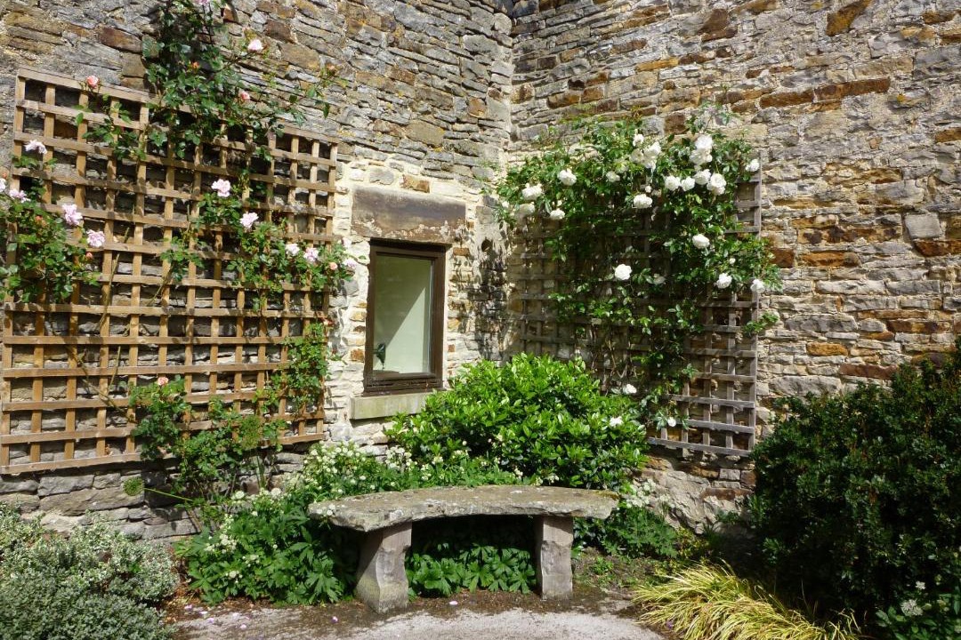 Photo of Others in Hexham