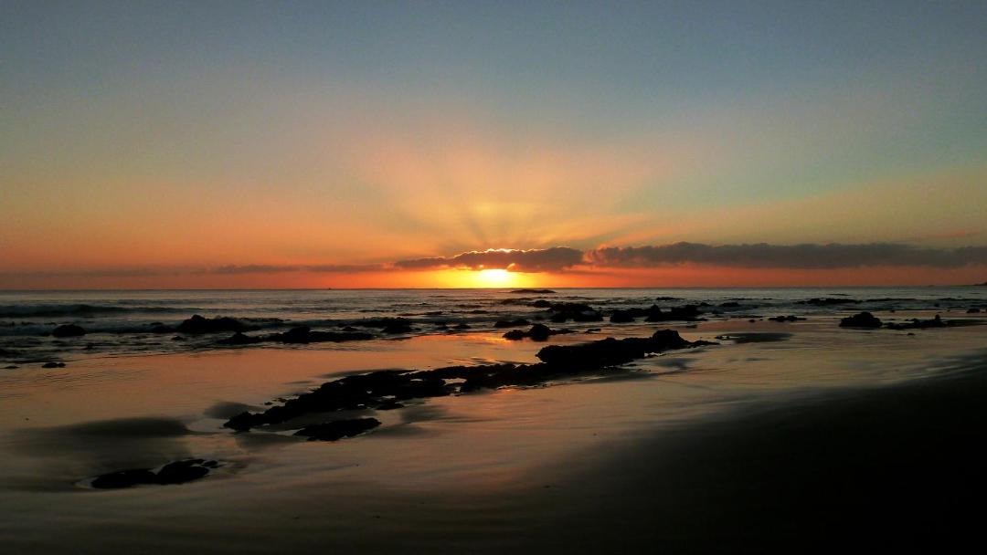 Photo of Others in Kaka Point