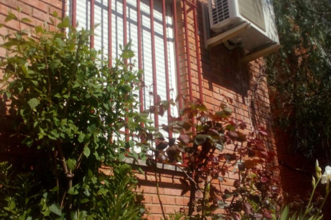 Photo of Others in Siles