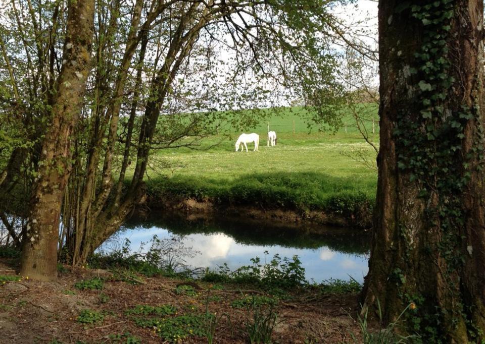 Photo of Others in Saunay