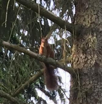 Photo of Outdoor in Saunay