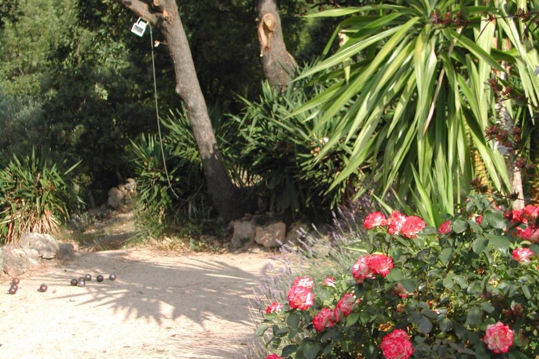 Photo of Others in Tourtour