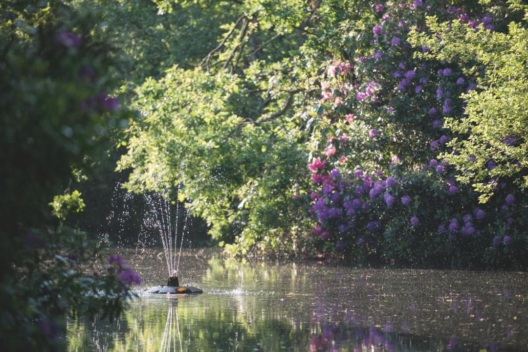 Photo of Others in Mere