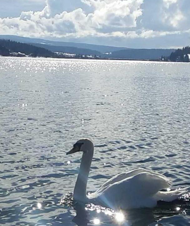 Photo of Outdoor in Saint-Point-Lac