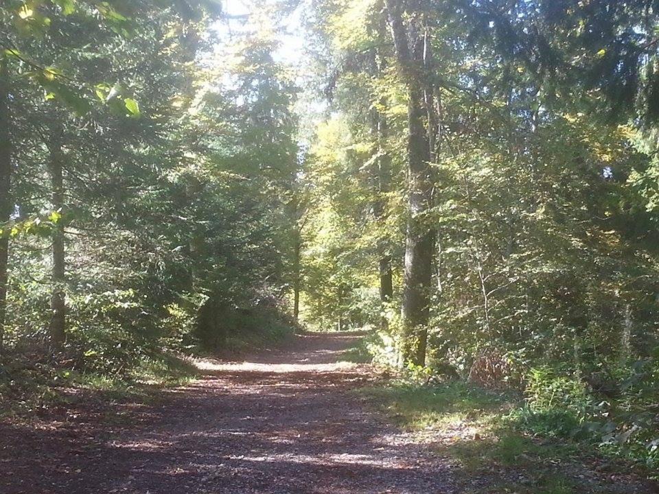 Photo of Outdoor in Saint-Point-Lac