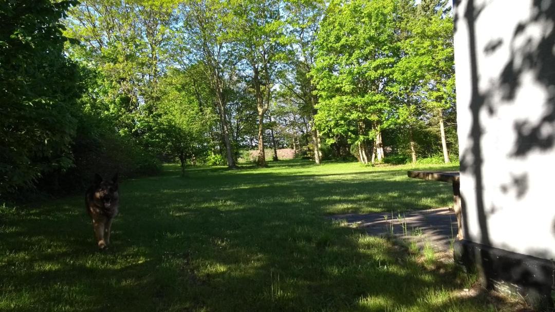 Photo of Others in Vemb