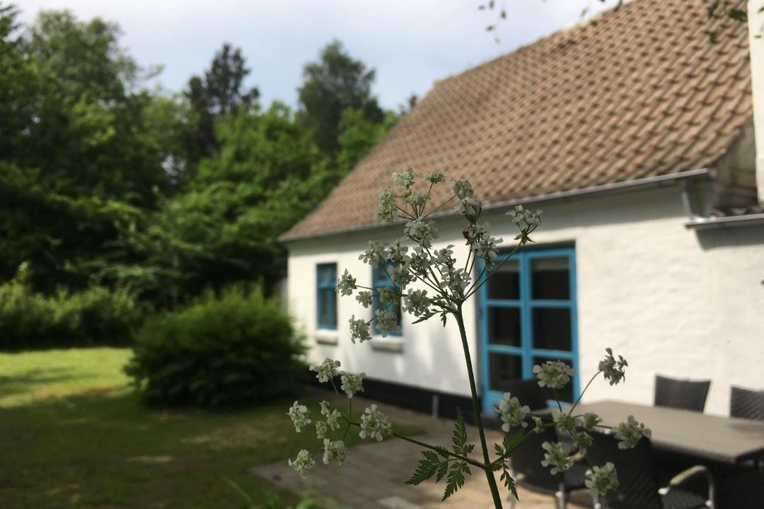 Photo of Others in Hjørring