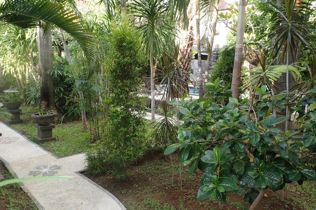 Photo of Others in Amed