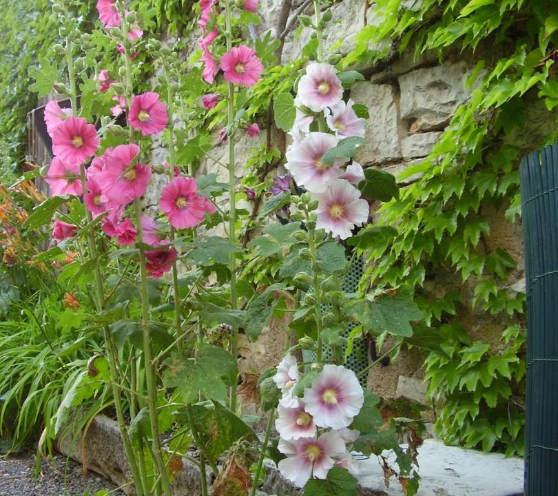 Photo of Others in Annay-sur-Serein