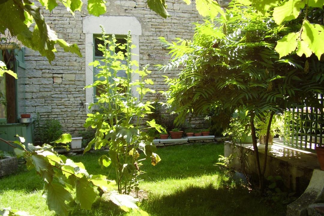 Photo of Others in Annay-sur-Serein