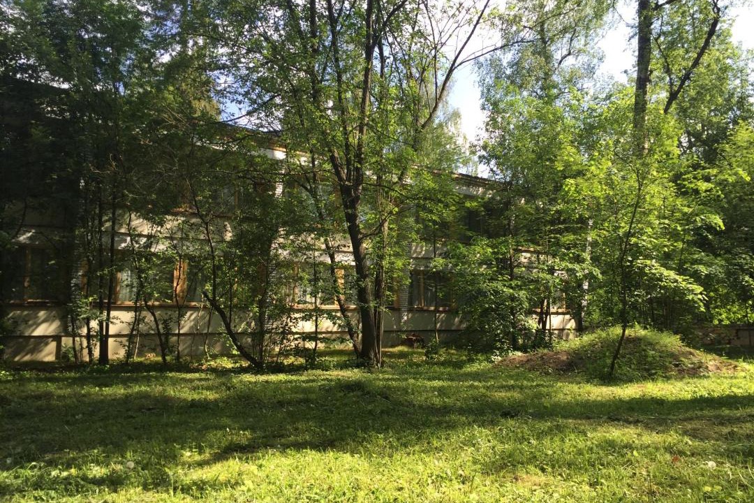 Photo of Outdoor in Zvenigorod