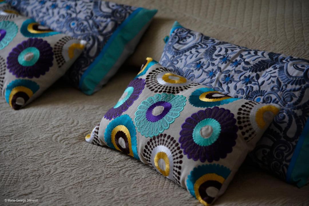 Photo of Others in Escolives-Sainte-Camille