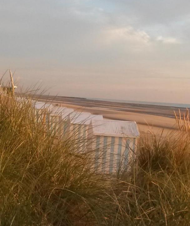 Photo of Outdoor in Hardelot-Plage