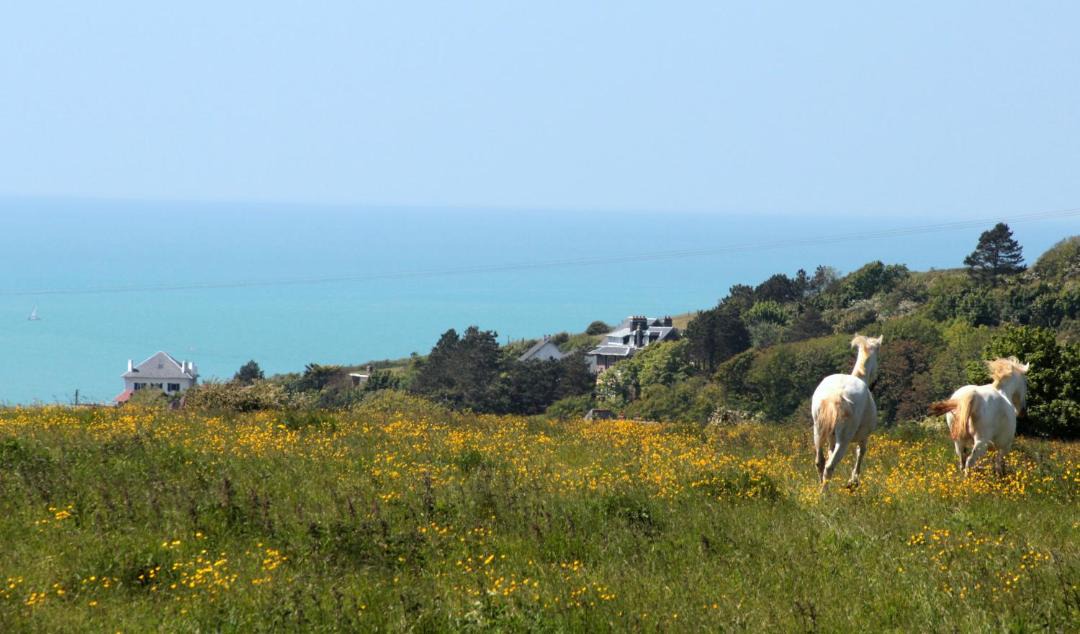 Photo of Outdoor in Dieppe