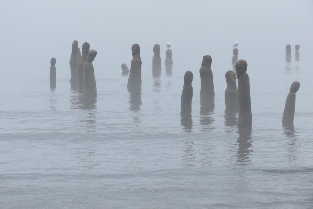 Photo of Others in Sainte-Flavie