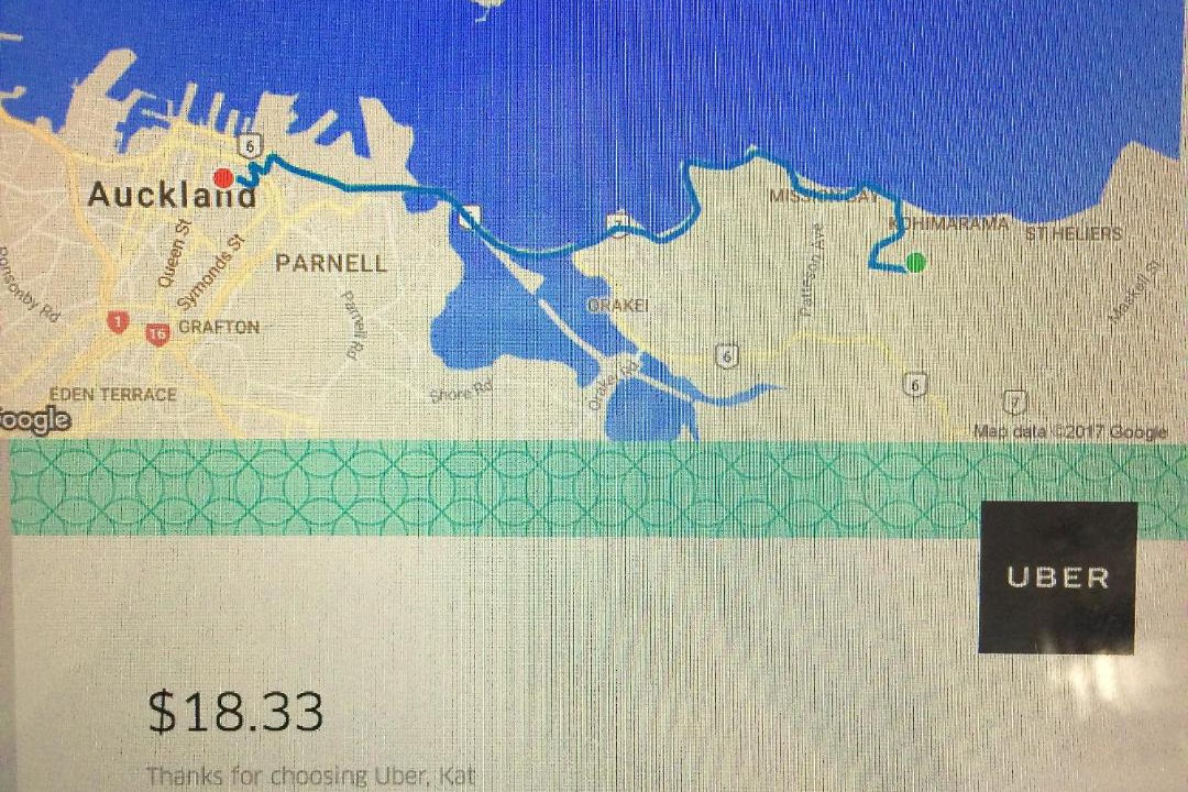 Photo of Others in Kohimarama