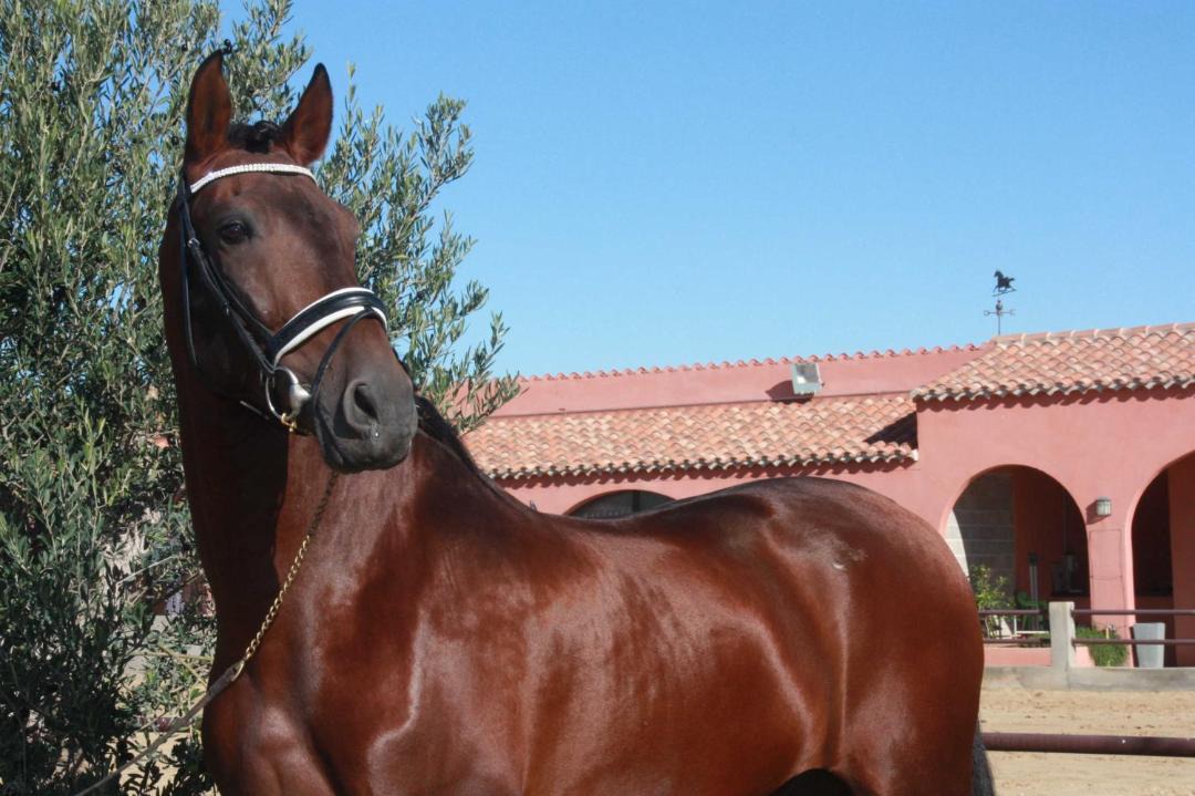 Photo of Others in Saint-Nazaire