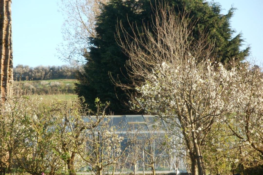 Photo of Others in Echinghen