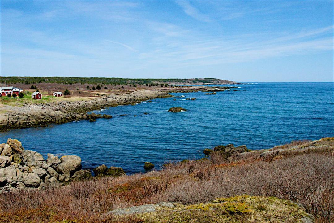 Photo of Others in Sampson Cove