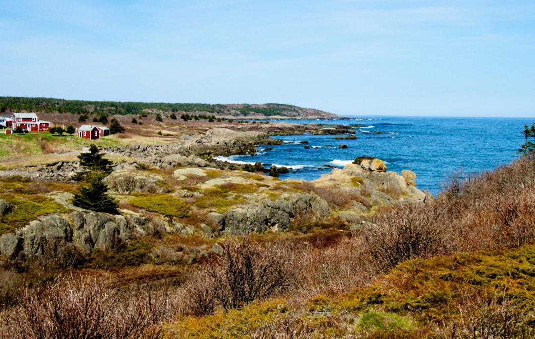 Photo of Others in Sampson Cove