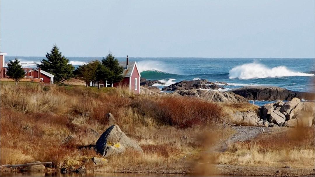 Photo of Others in Sampson Cove
