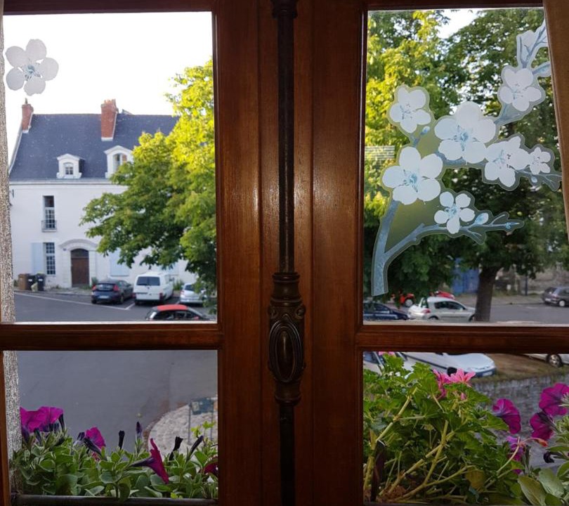 Photo of Others in Downtown Angers