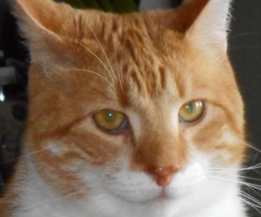 Photo of Others in Grand Falls